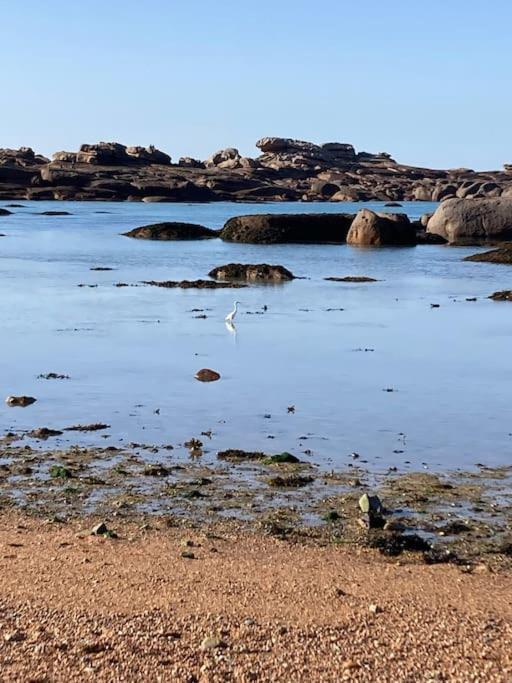 La Bernique Blanche De Perros Vue Mer 4 Personnes Perros-Guirec Exterior foto